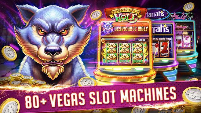 646 hot casino login